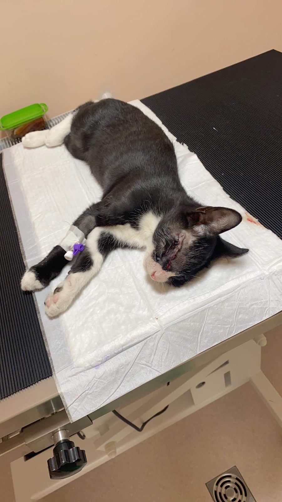 WhatsApp Image 2021-11-09 at 12.23.33