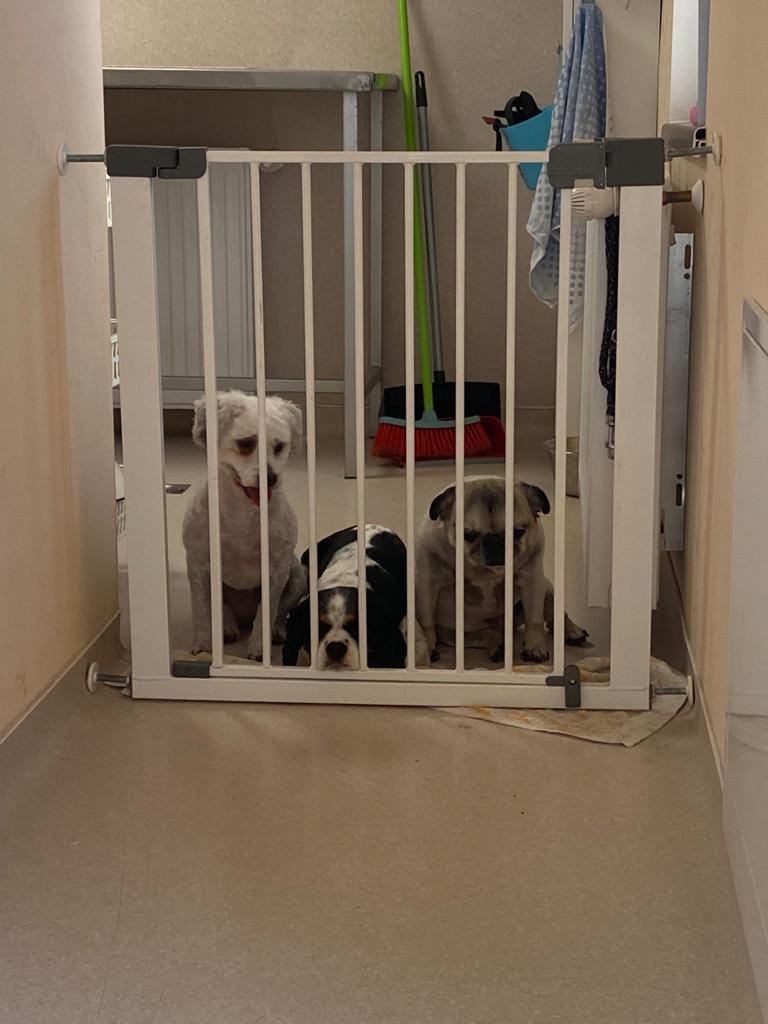 WhatsApp Image 2021-11-09 at 12.23.34