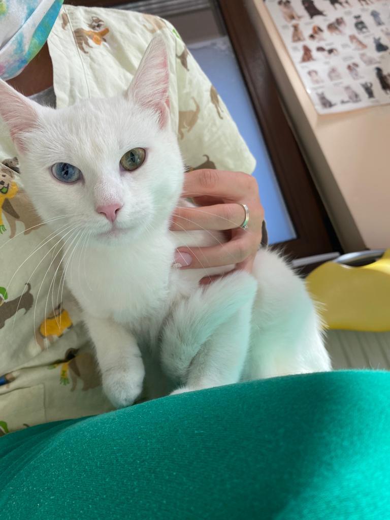 WhatsApp Image 2021-11-09 at 12.23.35 (1)