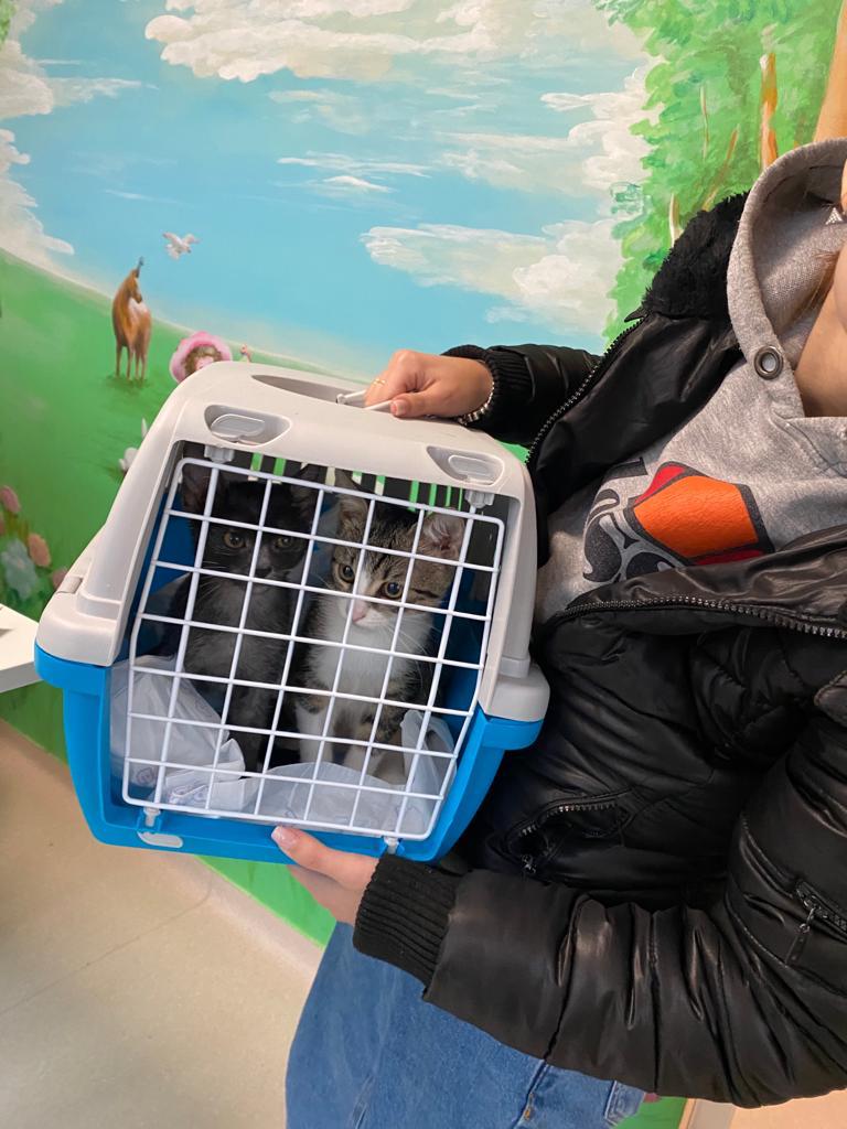 WhatsApp Image 2021-11-09 at 12.23.35 (3)