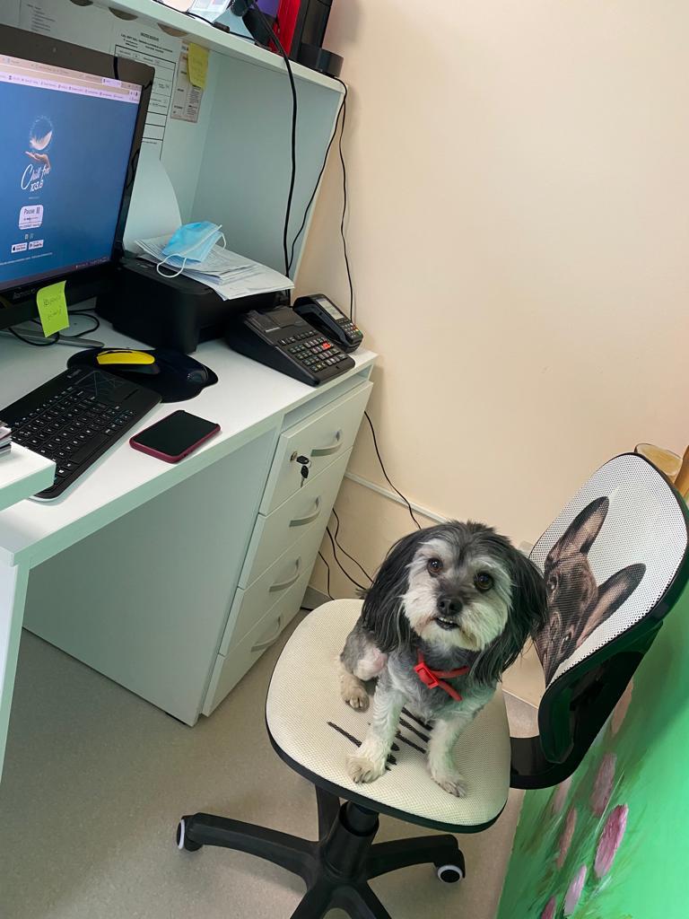 WhatsApp Image 2021-11-09 at 12.23.35