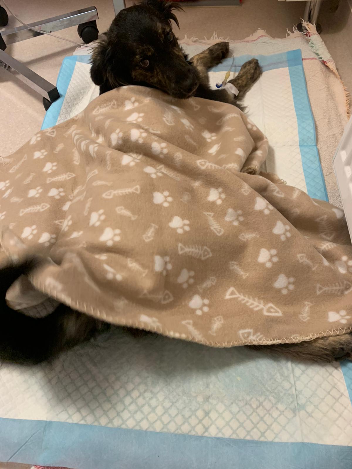 WhatsApp Image 2021-11-09 at 12.23.56