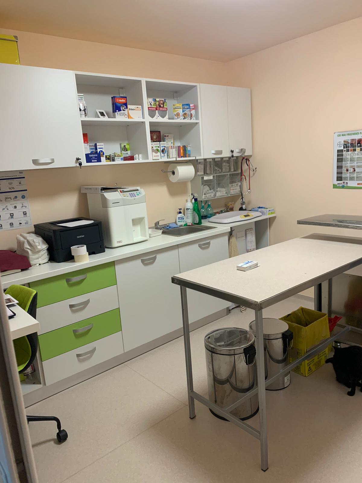 WhatsApp Image 2021-11-09 at 12.29.49