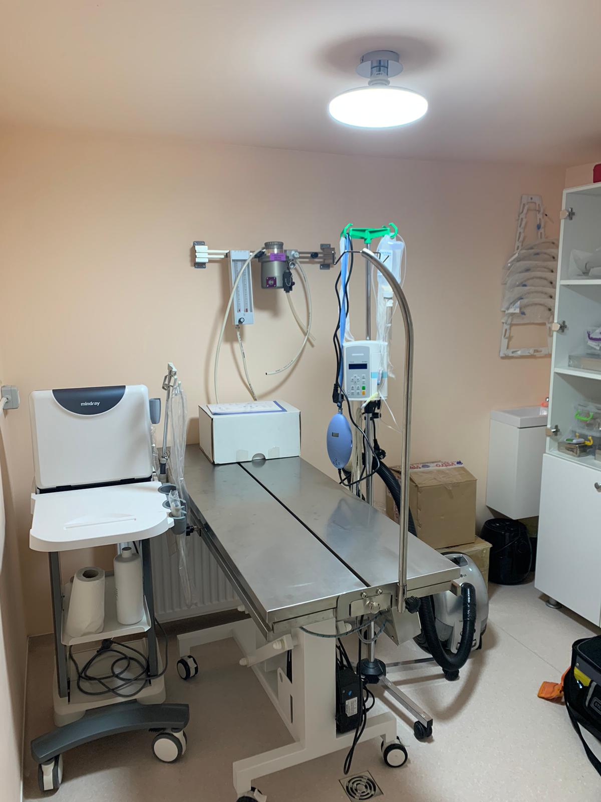 WhatsApp Image 2021-11-09 at 12.29.53