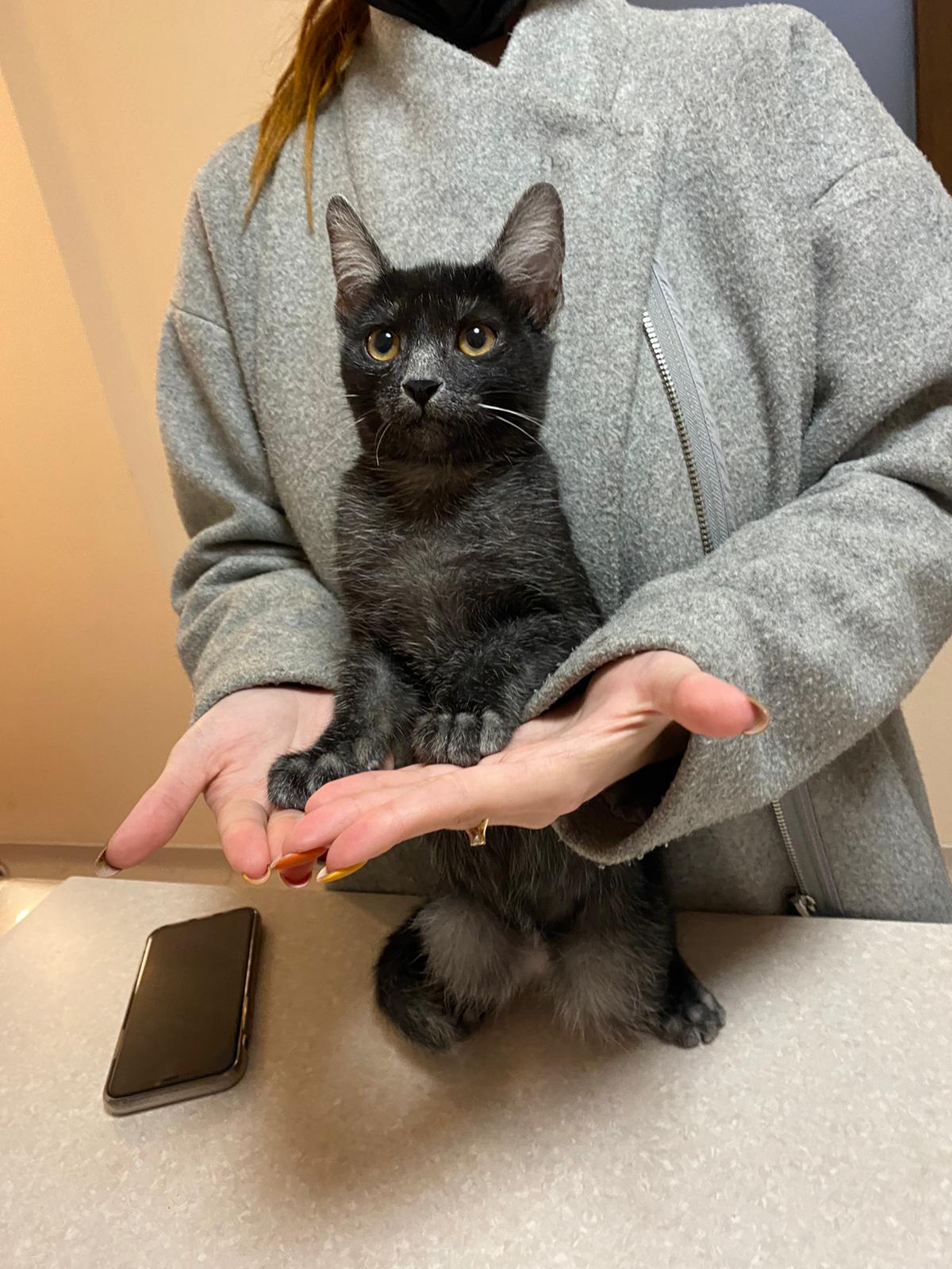 WhatsApp Image 2021-11-12 at 22.37.49