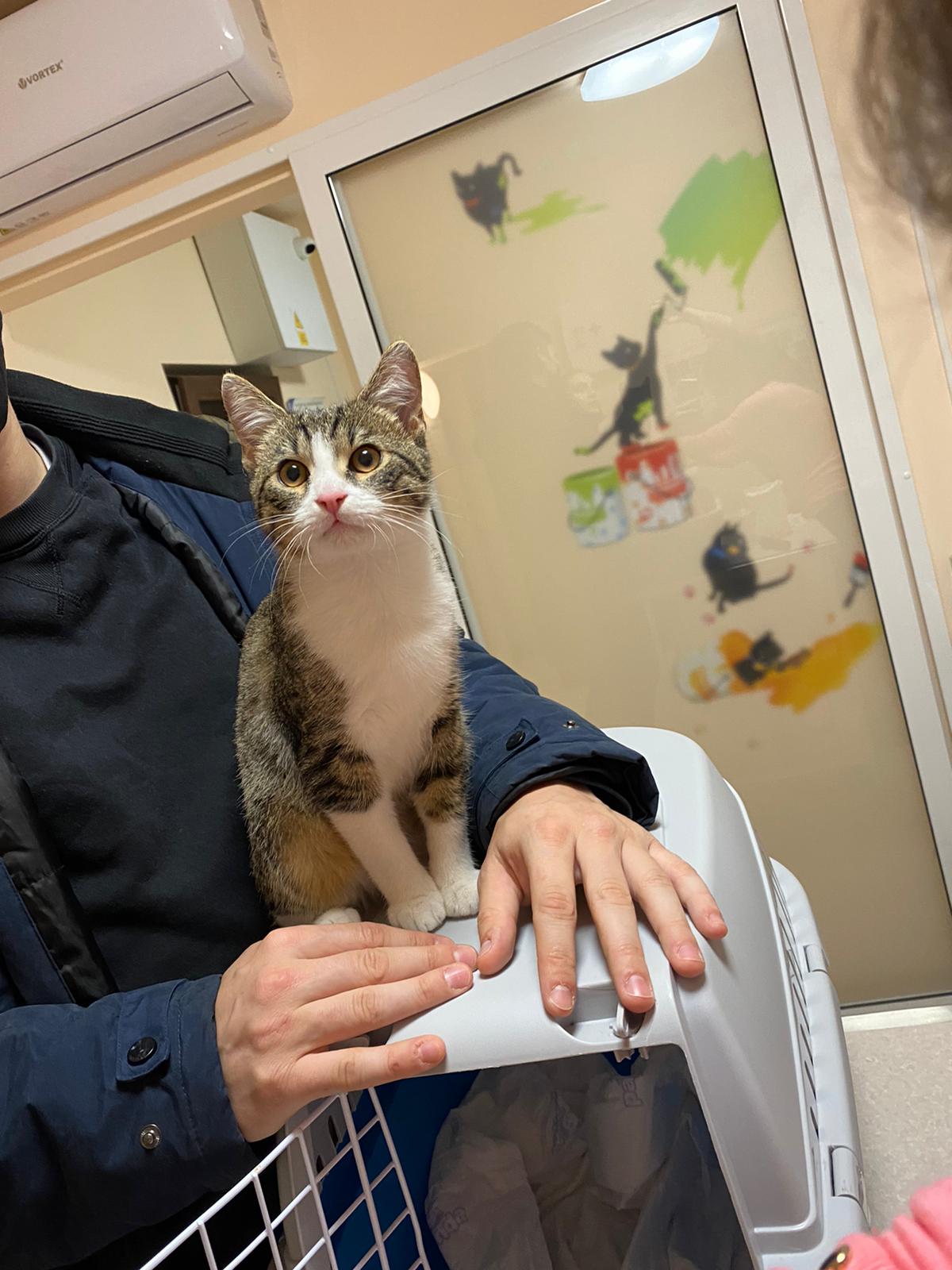 WhatsApp Image 2021-11-12 at 22.38.07