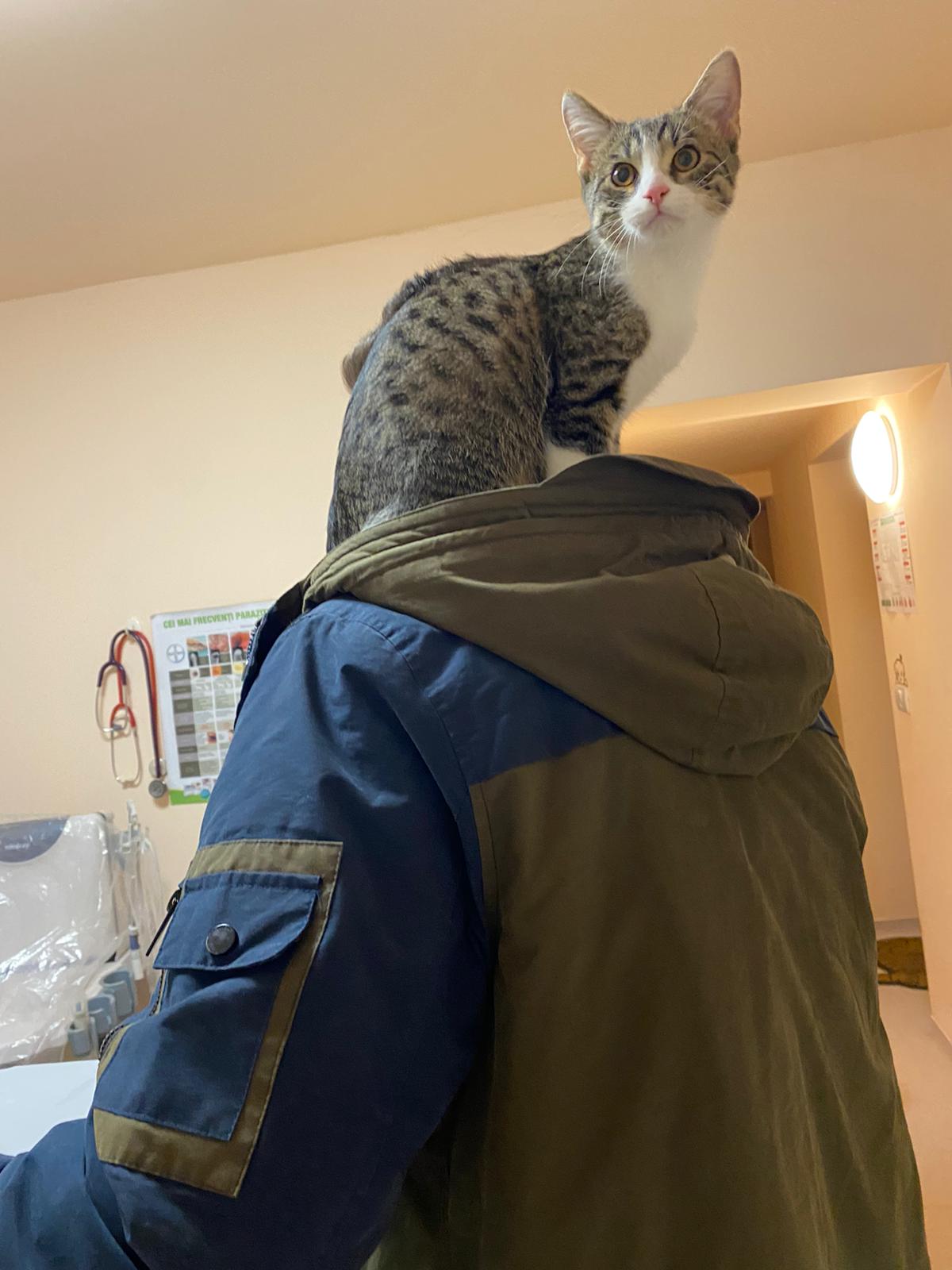 WhatsApp Image 2021-11-12 at 22.38.24