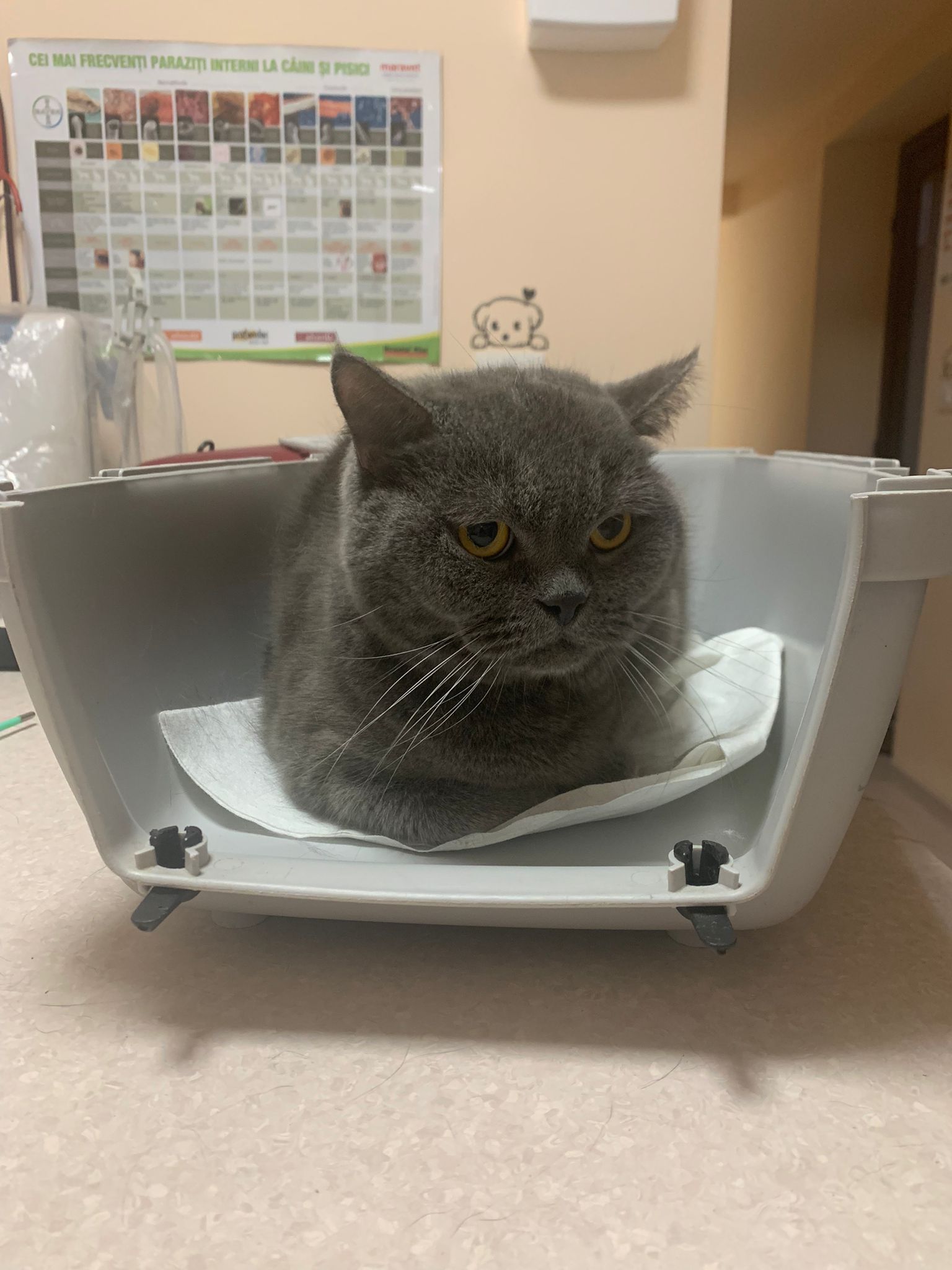 WhatsApp Image 2021-11-12 at 22.38.39